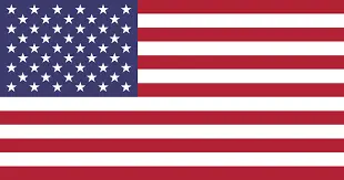 american flag-Livonia