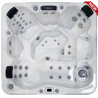Costa-X EC-749LX hot tubs for sale in Livonia