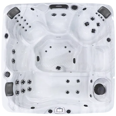 Avalon-X EC-840LX hot tubs for sale in Livonia