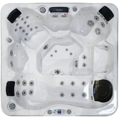 Avalon EC-849L hot tubs for sale in Livonia