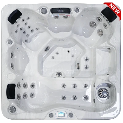 Avalon-X EC-849LX hot tubs for sale in Livonia