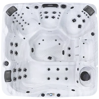 Avalon EC-867L hot tubs for sale in Livonia