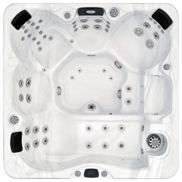 Avalon-X EC-867LX hot tubs for sale in Livonia