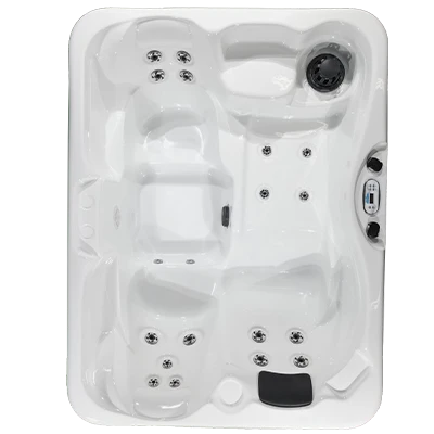 Kona PZ-519L hot tubs for sale in Livonia